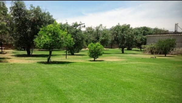 Quinta en San Agustin, Tlajomulco de Zúñiga