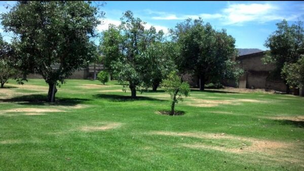 Quinta en San Agustin, Tlajomulco de Zúñiga